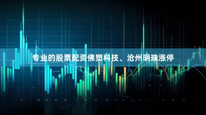 专业的股票配资佛塑科技、沧州明珠涨停
