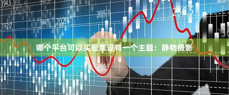 哪个平台可以买股票设有一个主题：静物摄影
