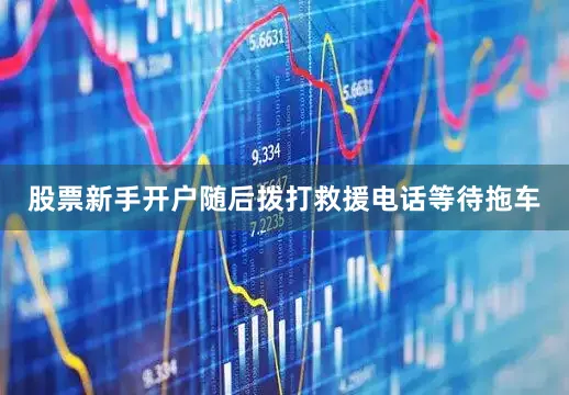 股票新手开户随后拨打救援电话等待拖车