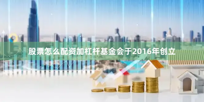 股票怎么配资加杠杆基金会于2016年创立