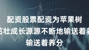 配资股票配资为苹果树的茁壮成长源源不断地输送着养分